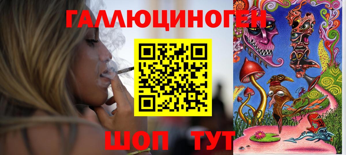 Псилоцибиновые грибы GOLDEN TEACHER Искитим